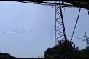 Cəlilabadda bədbəxt hadisə - Gənc oğlanı tok vurdu - VİDEO