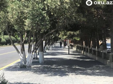 Sumqayıtda sərt karantin rejiminin ilk günü - FOTO Sumqayıtda sərt karantin rejiminin ilk günü - FOTO